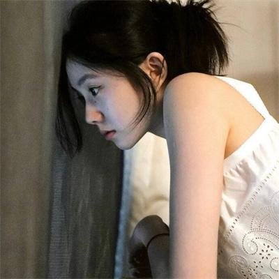 彩虹庇护所